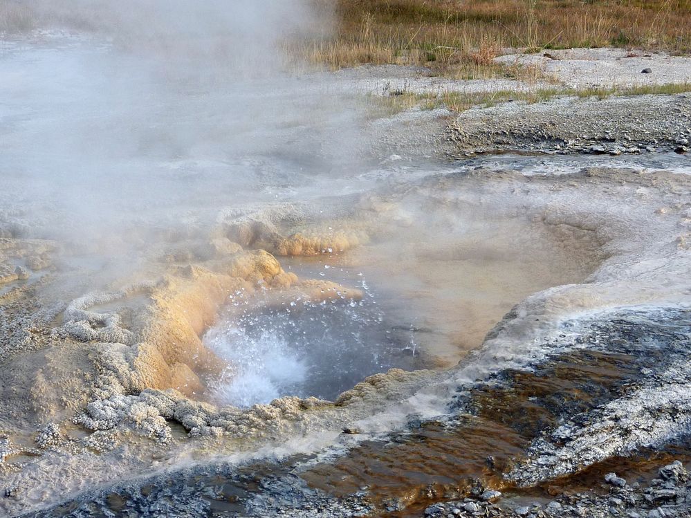 Yellowstone Old faithfull et ses environs (21).JPG